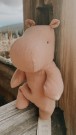 Hippo - misty rose thumbnail