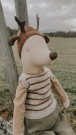 Maxi mus - Gutt thumbnail