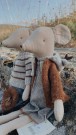 Medium mus - Gutt thumbnail