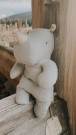Rhino - blue grey thumbnail