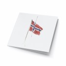 Norsk flagg thumbnail