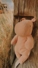 Hippo - misty rose thumbnail
