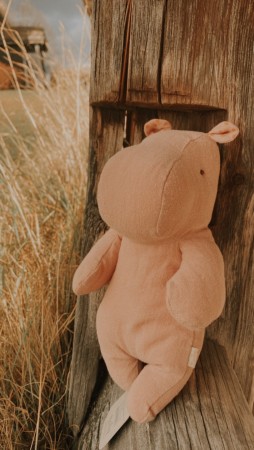 Hippo - misty rose